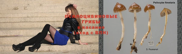 кокс Алексин