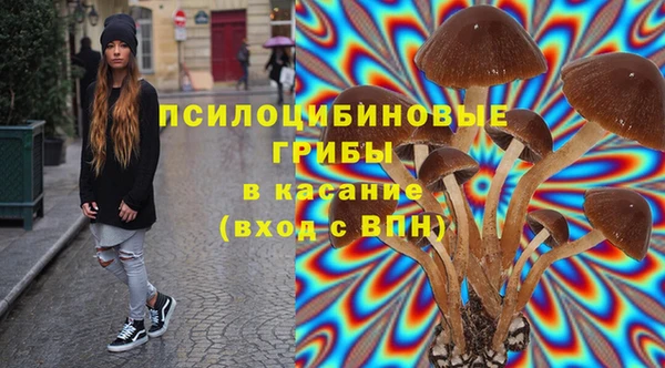 кокс Алексин
