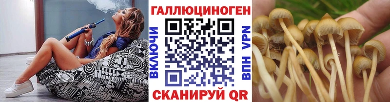 как найти   Дербент  Псилоцибиновые грибы мухоморы 