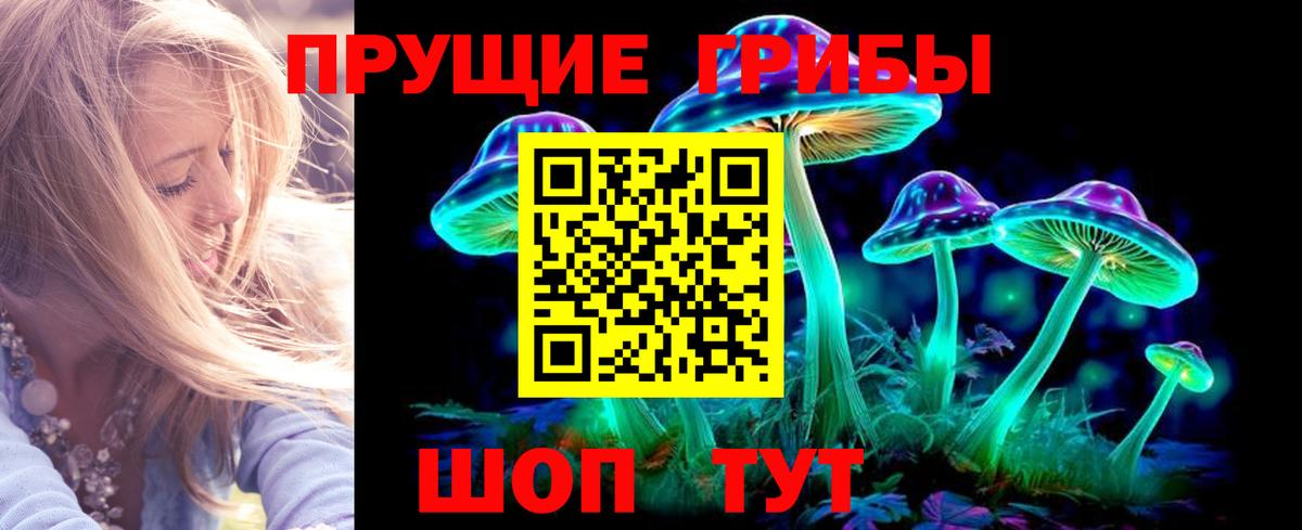 Дербент  Галлюциногенные грибы мухоморы  Вход с VPN  Галлюциногенные грибы прущие грибы 
